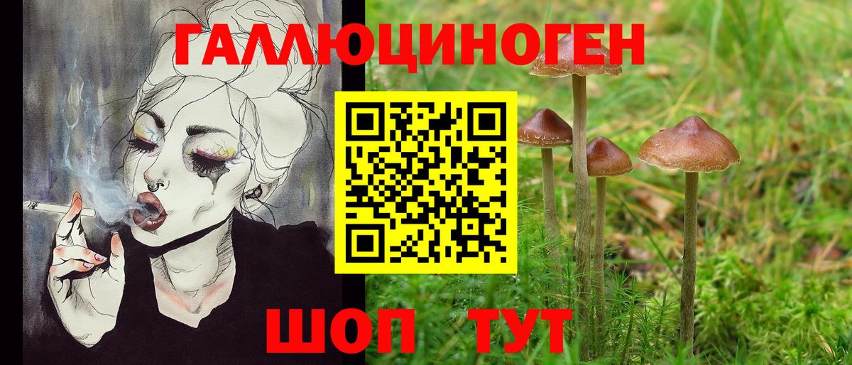 Галлюциногенные грибы GOLDEN TEACHER Гай