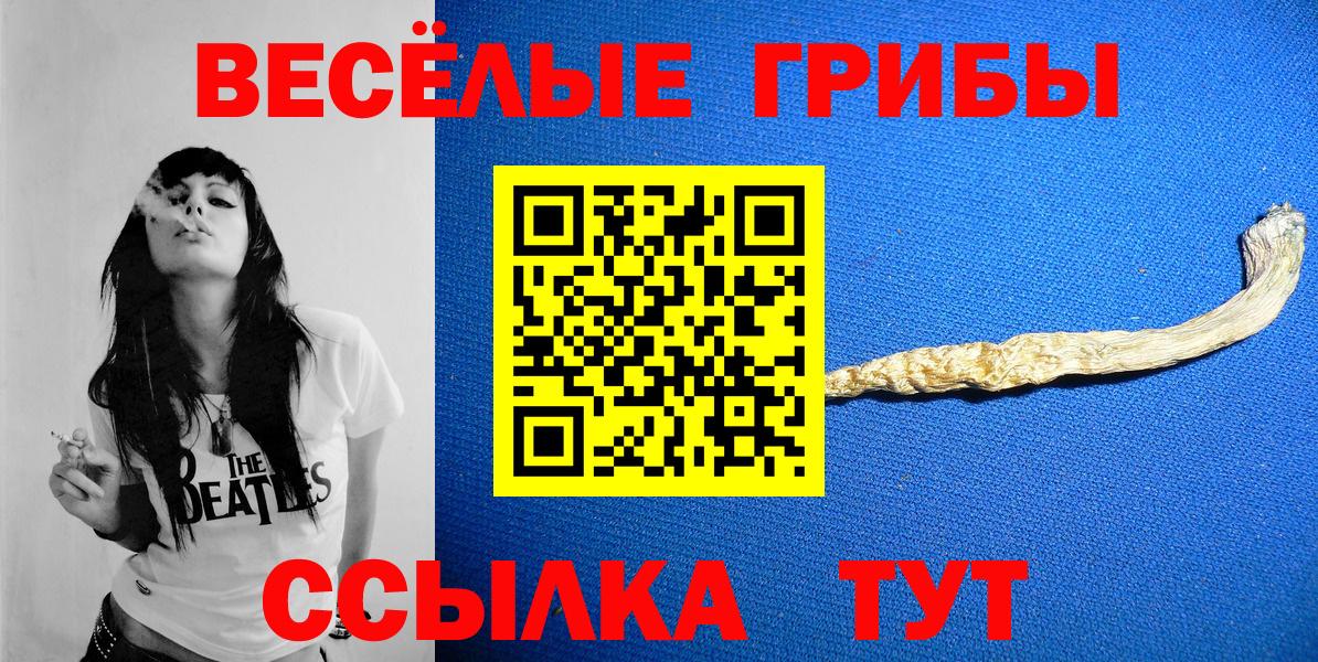 наркота  Вход с VPN  Гай  Галлюциногенные грибы мухоморы 