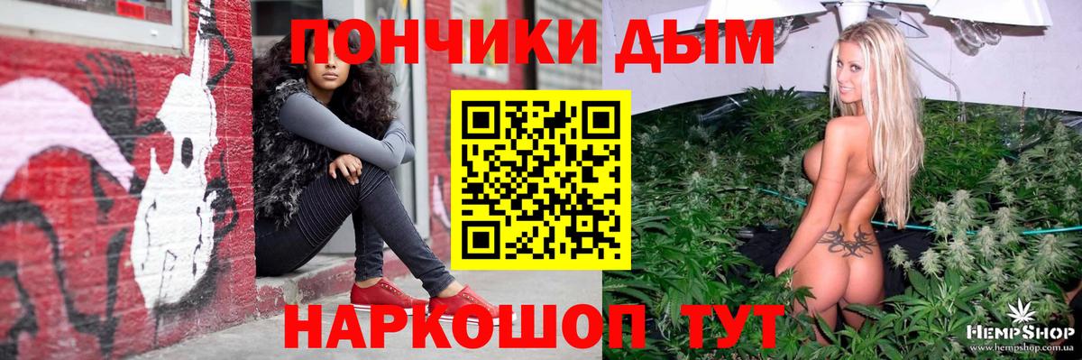 Конопля семена  Вход с VPN  Гай  МАРИХУАНА сатива 